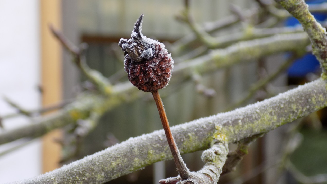 it's cold outside 2.JPG