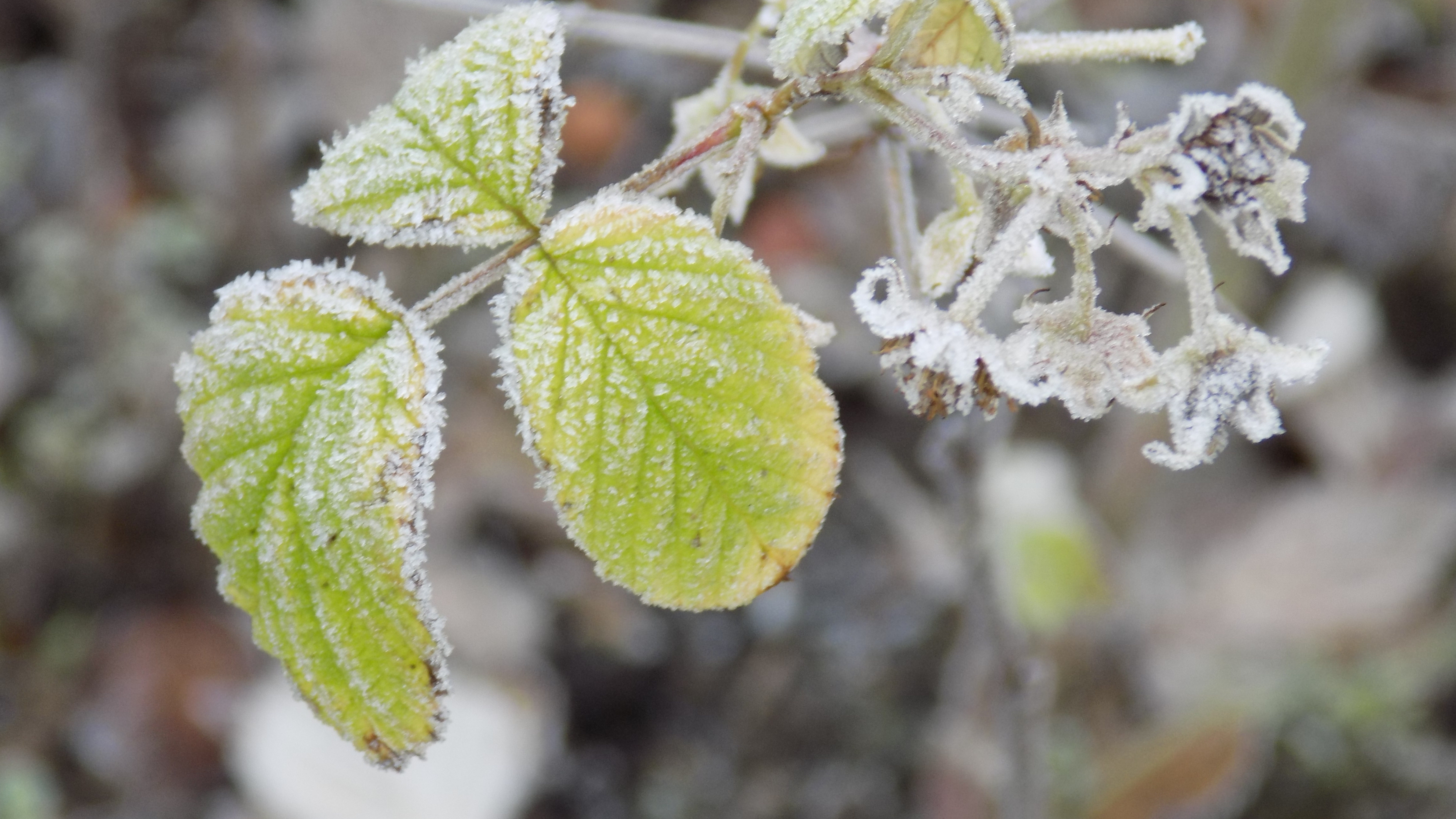 it's cold outside.JPG