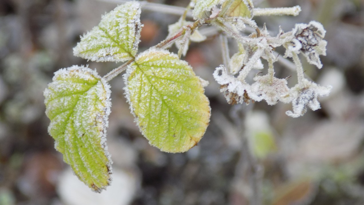 it's cold outside.JPG