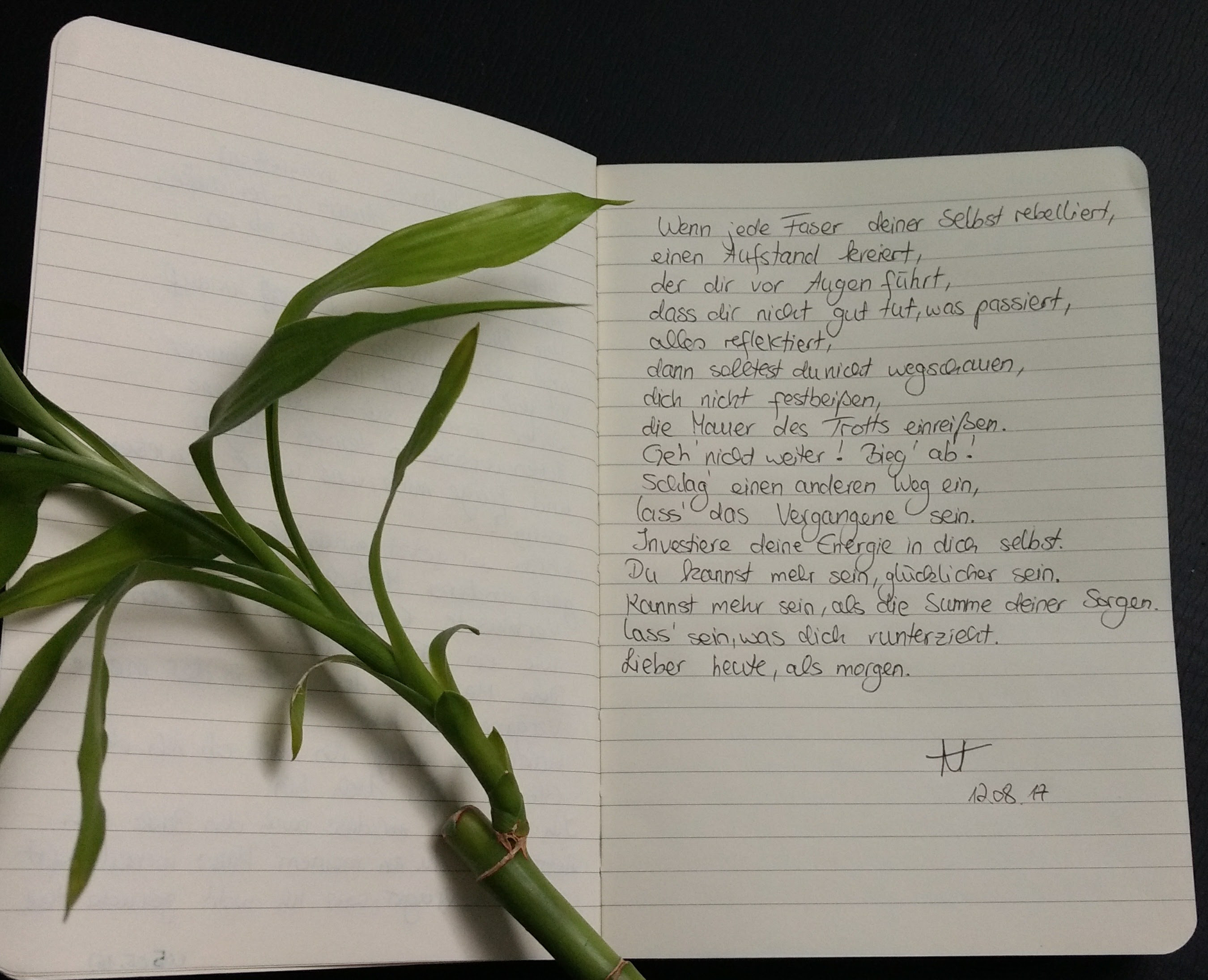 IMG_20170812_181403133