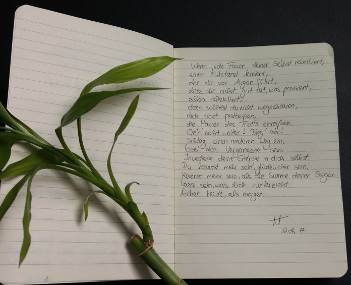 IMG_20170812_181403133